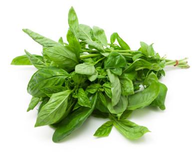 Fresh Basil (Bunch)