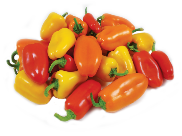 Mini Sweet Peppers Medley 16 oz