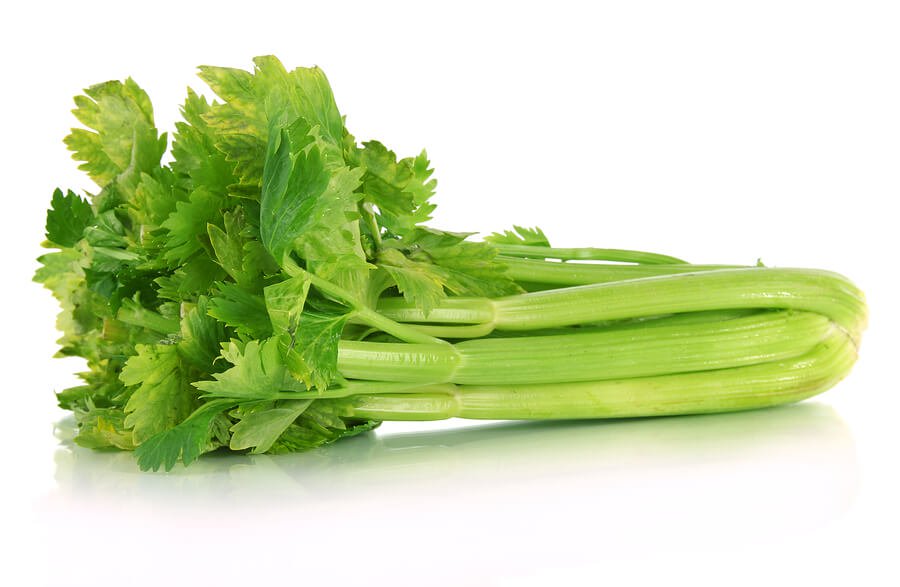 Celery Stalk