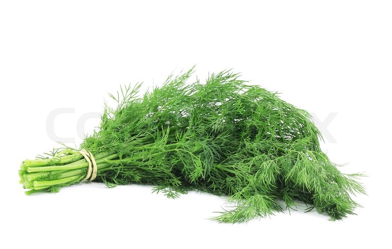 Fresh Dill (Bunch)