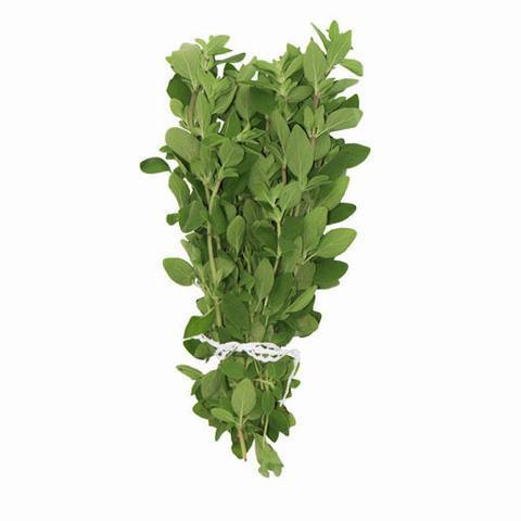 Fresh Oregano (Bunch)