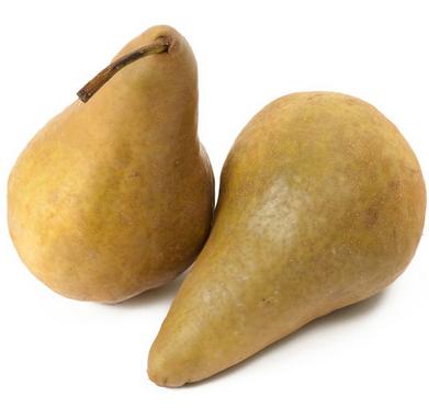 Bosc Pears LB.