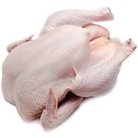 Fresh Young Turkey 10-14 lbs. - Find Where to Buy