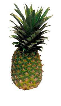 Pineapple (Each)